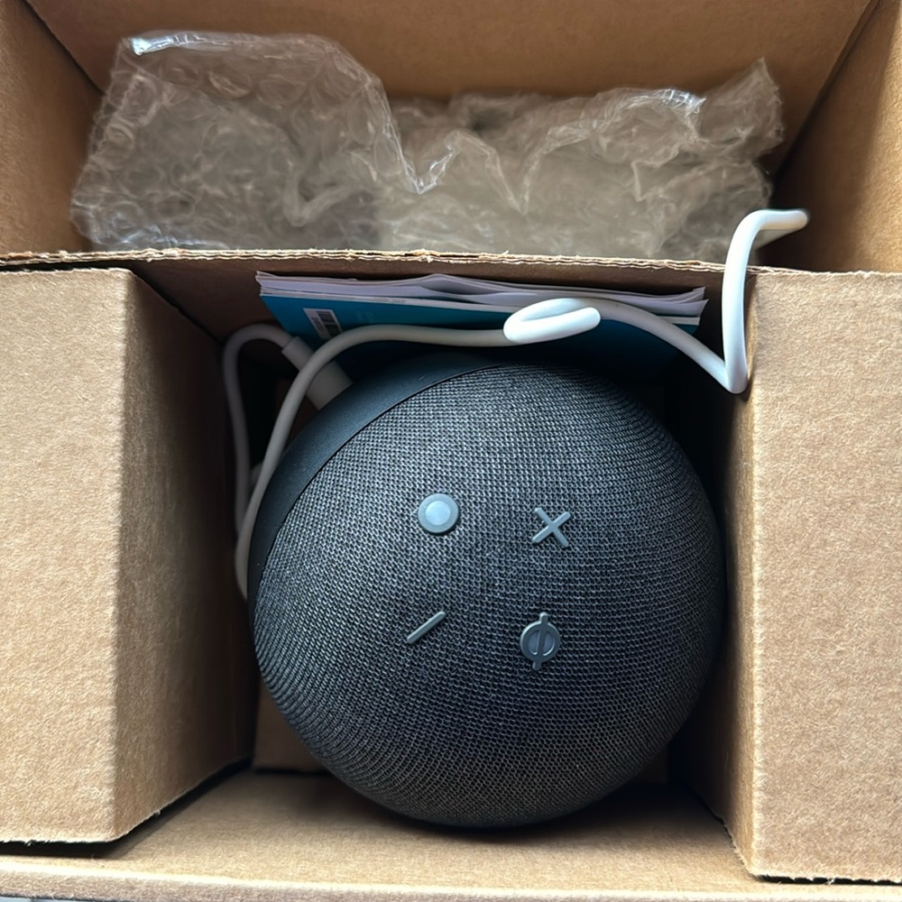 NWT Echo dot